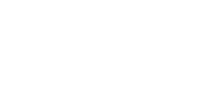 Flying Machine